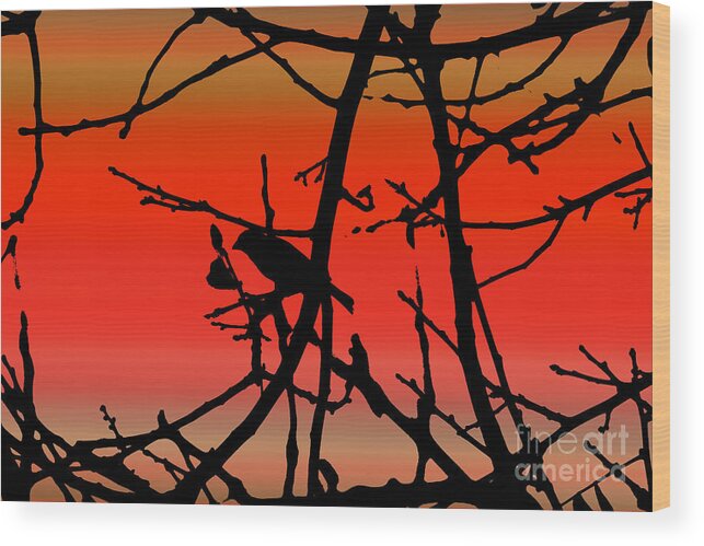 House Finch Wood Print featuring the photograph House Finch In Tree Silhouette on Tuscan Sunset by Colleen Cornelius