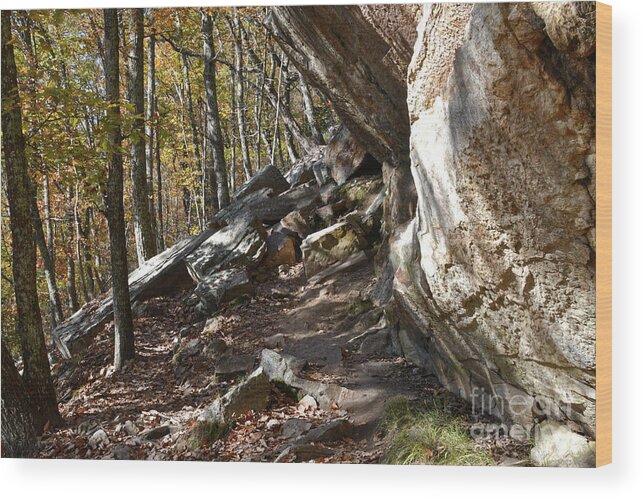 House Mountain Wood Print featuring the photograph House Mountain 17 by Phil Perkins