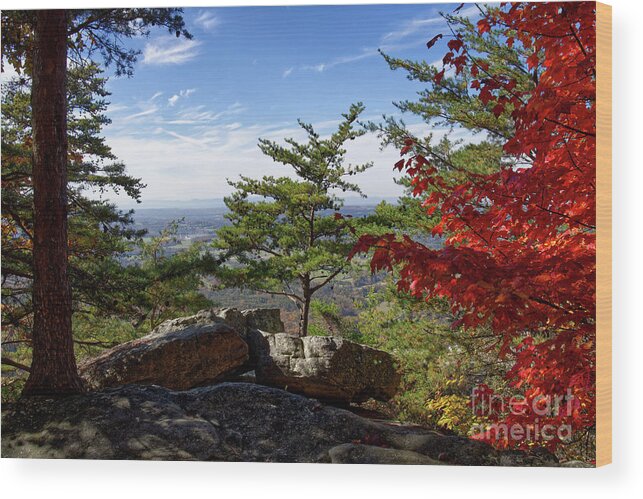 House Mountain Wood Print featuring the photograph House Mountain 34 by Phil Perkins