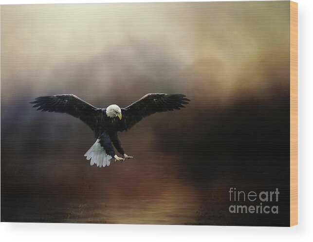 Bald Eagle Wood Print featuring the photograph Hunting From Above by Ed Taylor