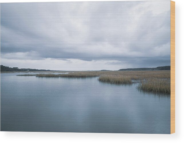 Huntington Beach State Park Wood Print featuring the photograph Saltwater Marsh by Cindy Robinson