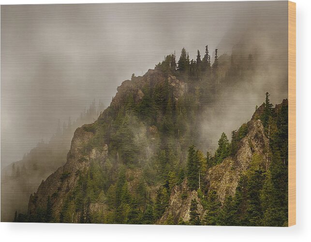 Shi Wood Print featuring the photograph Hurricane Ridge Fog by Amanda Jones