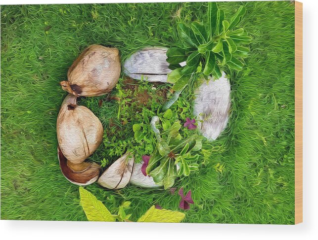 Coconut Husks Wood Print featuring the photograph Husks in the Garden 1 by Aldane Wynter