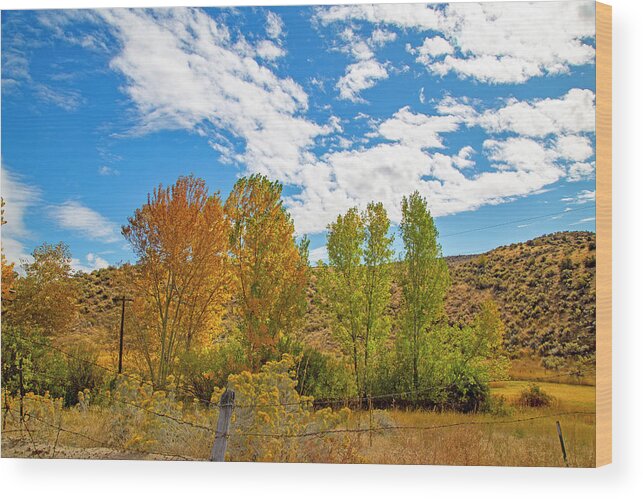 Fall Wood Print featuring the photograph Idaho Fall Colors by Dart Humeston