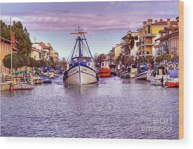 Boat Wood Print featuring the photograph Gabbiano - Grado - Italy by Paolo Signorini