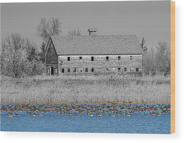 Old Barn Wood Print featuring the photograph In Color and Black and White by Terry Walsh