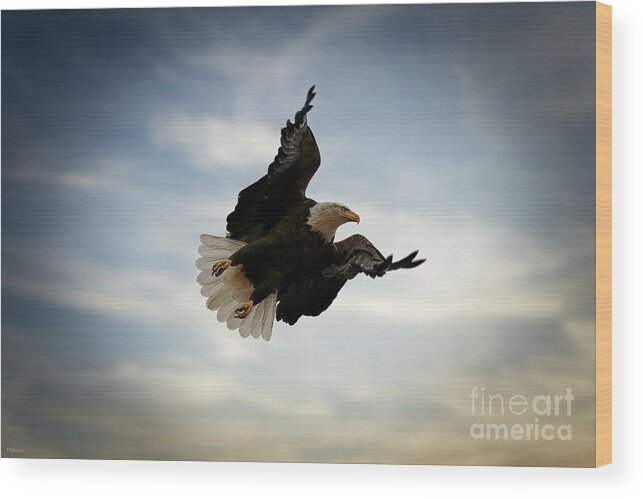 Eagles Wood Print featuring the photograph In Flight by Veronica Batterson