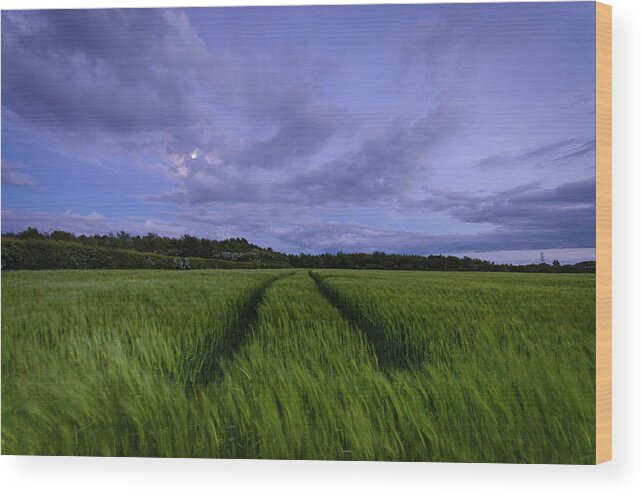 Farm Wood Print featuring the photograph In the Blue Hour by Spikey Mouse Photography