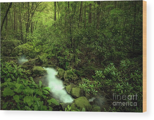 Cascades Wood Print featuring the photograph In the Hollows of the Blue Ridge Mountains by Shelia Hunt