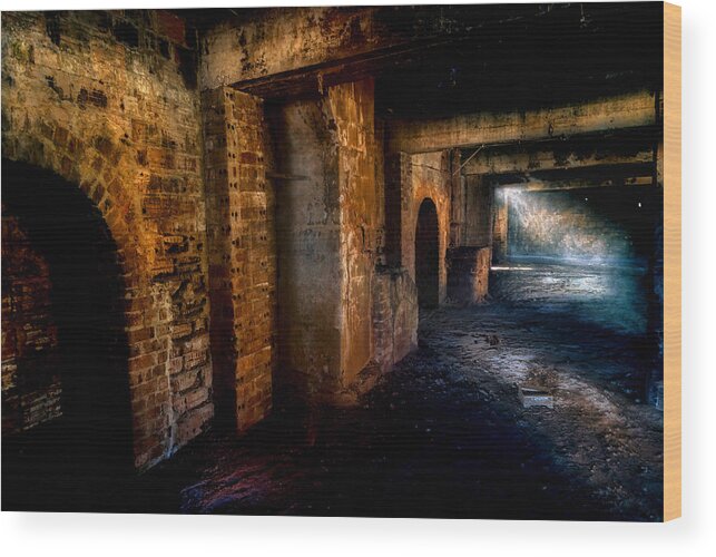 In The Dark Wood Print featuring the photograph In the rats' cave by Micah Offman