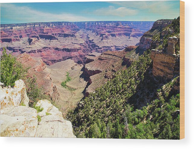 Grand Canyon Wood Print featuring the photograph Indian Gardens by Segura Shaw Photography