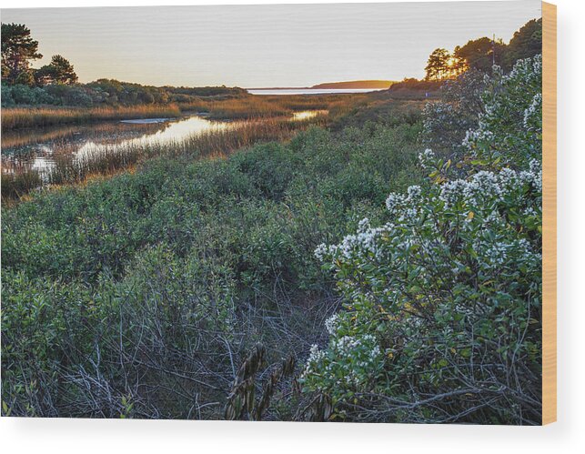 Cape Cod Wood Print featuring the photograph Indian Neck Heights, Wellfleet #1 by Thomas Sweeney