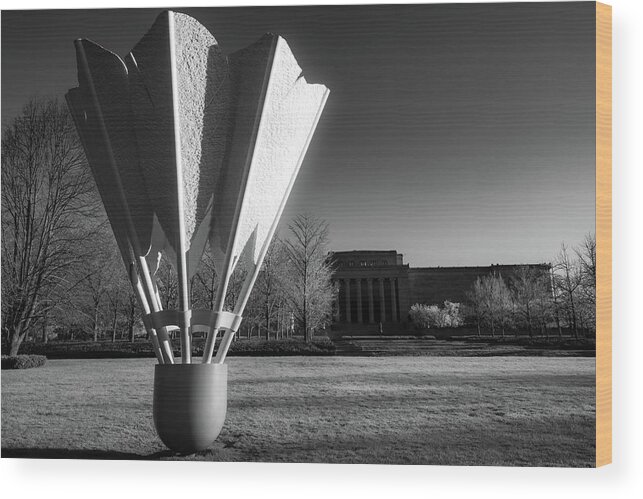 Infrared Shuttlecock Wood Print featuring the photograph Infrared Shuttlecock - Kansas City Monochrome by Gregory Ballos