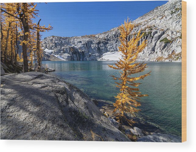 Core Wood Print featuring the photograph Inspiration Lake Larch by Pelo Blanco Photo