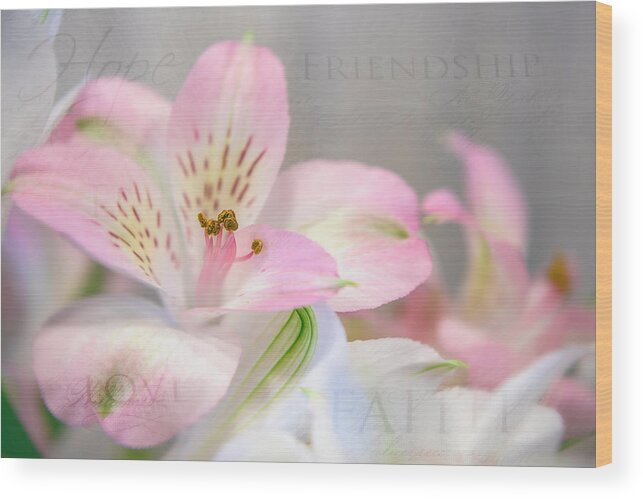 Flower Wood Print featuring the photograph Inspirational Alstroemeria by Teresa Wilson