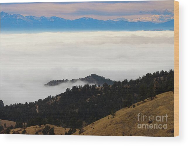 Sangre De Cristo Mountains Wood Print featuring the photograph Island in the Fog by Steven Krull
