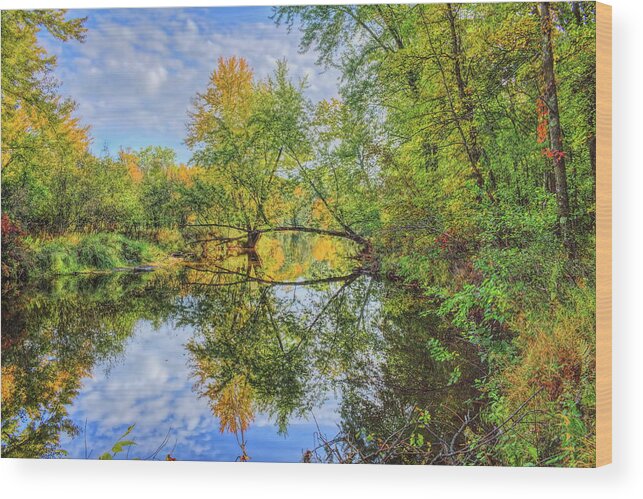 Wausau Wood Print featuring the photograph Isle Of Ferns Park Fall Reflection by Dale Kauzlaric