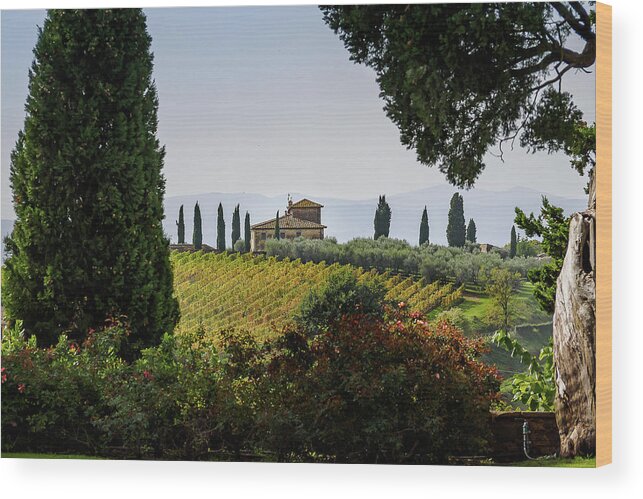 Background Wood Print featuring the photograph Italian villa in the countryside by Robert Miller