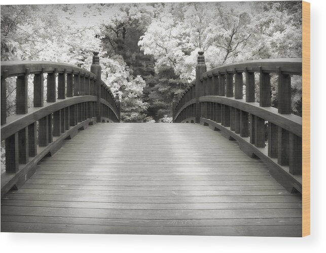 3scape Wood Print featuring the photograph Japanese Dream Infrared by Adam Romanowicz