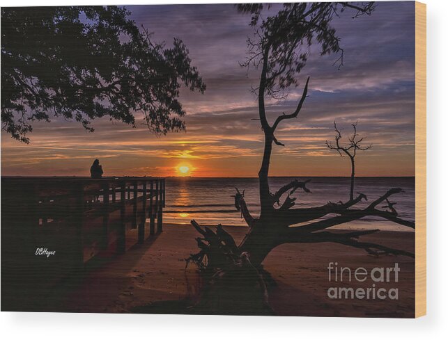 Dust Wood Print featuring the photograph Jekyll Island Serenity At Dust by DB Hayes