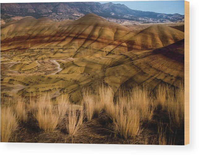 John Day Fossil Beds Wood Print featuring the photograph John Day National Monument 3 by Sally Bauer