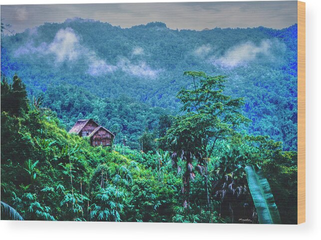 Malaysia Wood Print featuring the photograph Jungle Home, 1996, Kodachrome 64 by Frank Lee