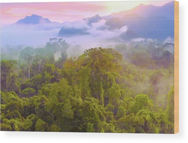 Borneo Print Wood Print featuring the photograph Jungle in Borneo by Monique Wegmueller