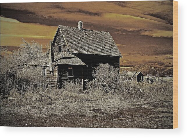 In Focus Wood Print featuring the digital art Juniper Flats Homestead by Fred Loring
