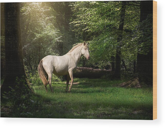 Horse Wood Print featuring the photograph Just a dream - horse art by Lisa Saint