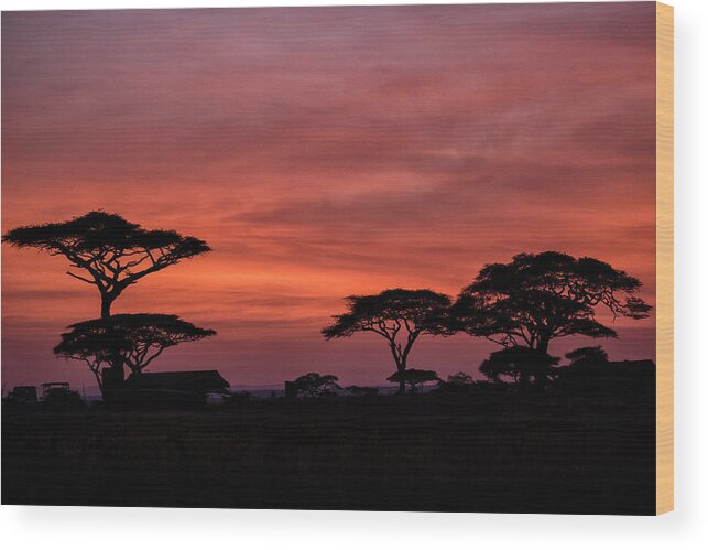 Africa Wood Print featuring the photograph Just Before Dawn by Phil Marty