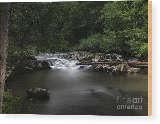 Tellico River Tennessee Wood Print featuring the photograph Just east of Eden by Rick Lipscomb
