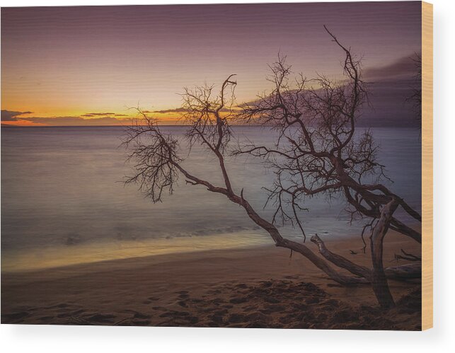 Bucket List Wood Print featuring the photograph Kaanapali Beach Maui Sunset Twilight Glow Long Exposure by Scott McGuire