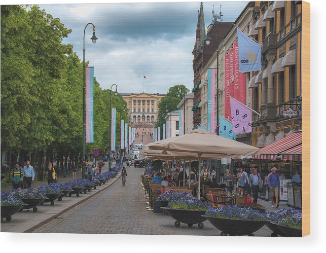 Karl Johans Gate Wood Print featuring the photograph Karl Johans Gate in Olso Norway by Matthew DeGrushe
