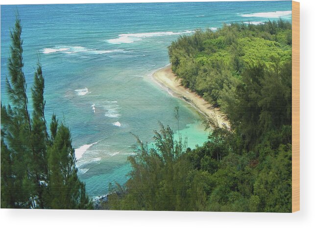 Beach Wood Print featuring the pyrography Ke'e by Tony Spencer