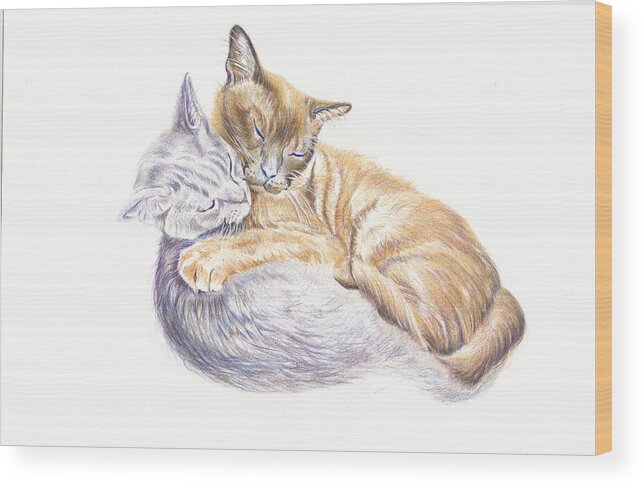 Cats Wood Print featuring the painting Two Sleeping Cats - Warmest Hug by Debra Hall
