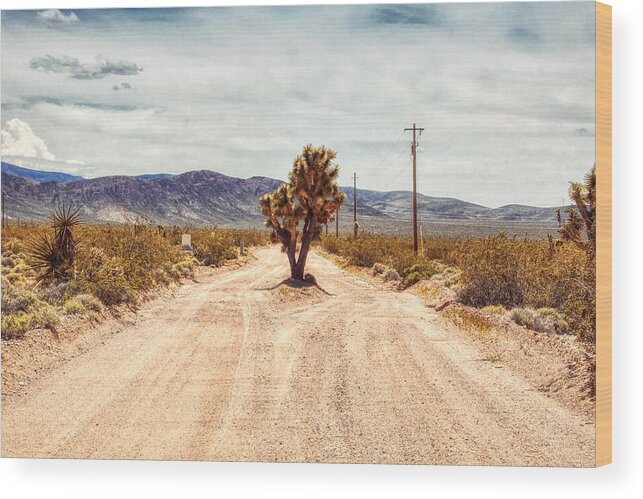 Joshua Tree Wood Print featuring the photograph King of the Road by Tatiana Travelways