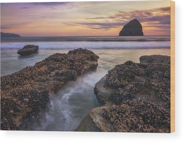 Oregon Wood Print featuring the photograph Kiwanda Froth by Darren White
