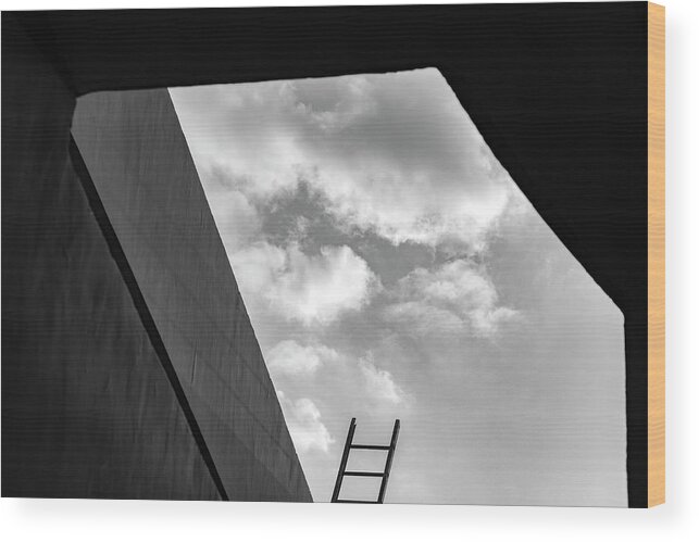 Ladder Wood Print featuring the photograph Ladder Vs the cloud cluster by Prakash Ghai