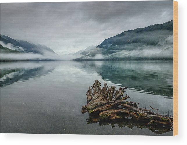 Lake Crescent Wood Print featuring the photograph Lake Crescent Relic by Dan Mihai