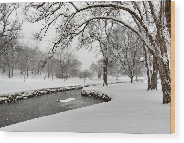 Wi Wood Print featuring the photograph Lake Leota Park Winterscape series - View from first disc golf teepad - Evansville WI by Peter Herman