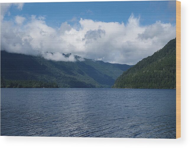Lake Quinault Washington State Wood Print featuring the photograph Lake Quinault Washington State by Dan Sproul