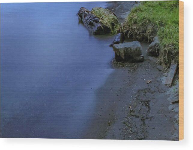 Lake Wood Print featuring the photograph Lakeshore by Anamar Pictures