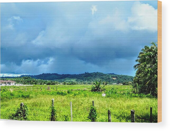 Landscape Wood Print featuring the photograph Landscape 001 by Faa shie