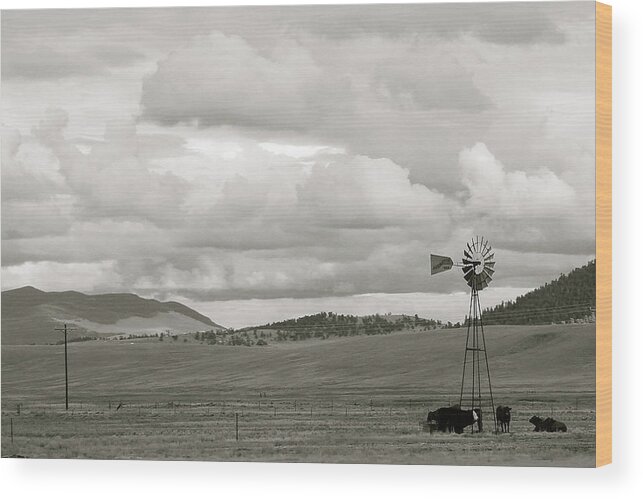 Black And White Wood Print featuring the photograph Landscape 1 by Carol Jorgensen