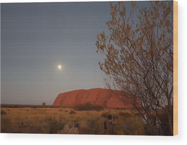 Beautiful; Nature Background; Landscape; Rocks; Cliffs; Rock Pool; Tourism; Travel; Summer; Holidays; Sea; Surf; Uluru Wood Print featuring the photograph Last Light at Uluru Rock by Andre Petrov