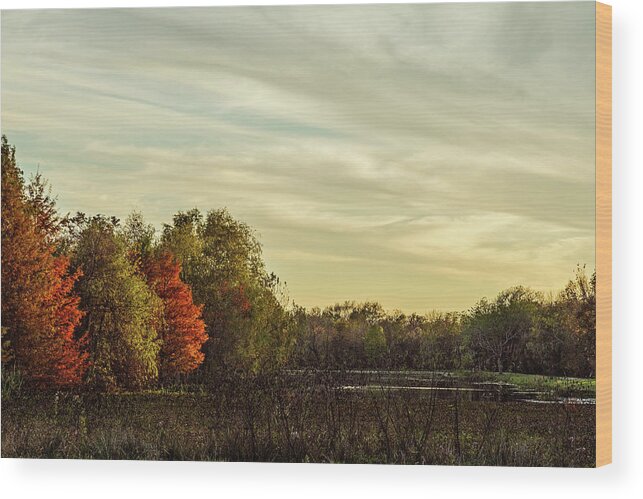Autumn Wood Print featuring the photograph Last Light by Mike Schaffner