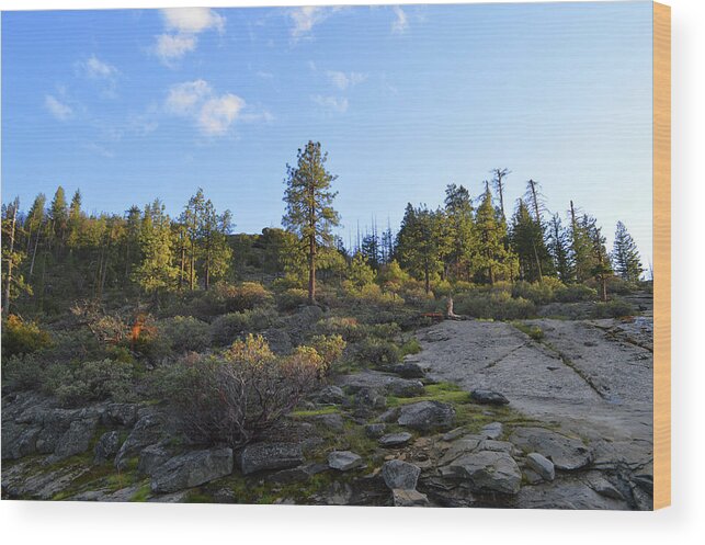 Yosemite Wood Print featuring the photograph Late Afternoon Near Tunnel View by Eric Forster
