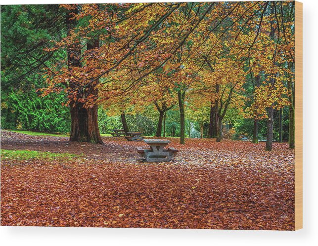 Alex Lyubar Wood Print featuring the photograph Late Autumn in the City Park  by Alex Lyubar