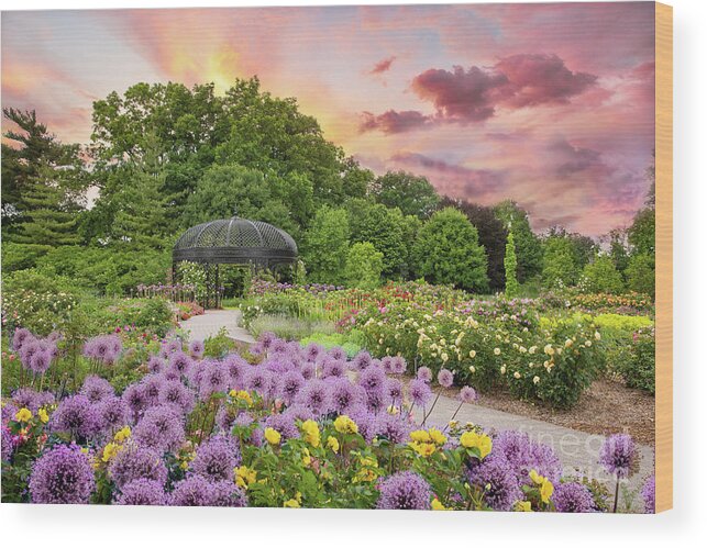 Gardens Wood Print featuring the photograph Lavender Garden by Marilyn Cornwell