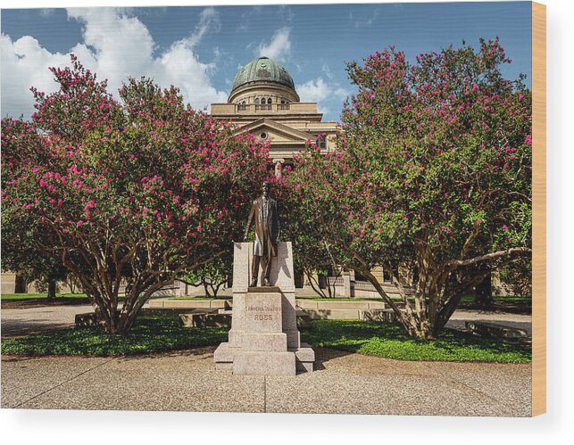Texas Wood Print featuring the photograph Lawrence Sullivan Ross Statue by David Morefield